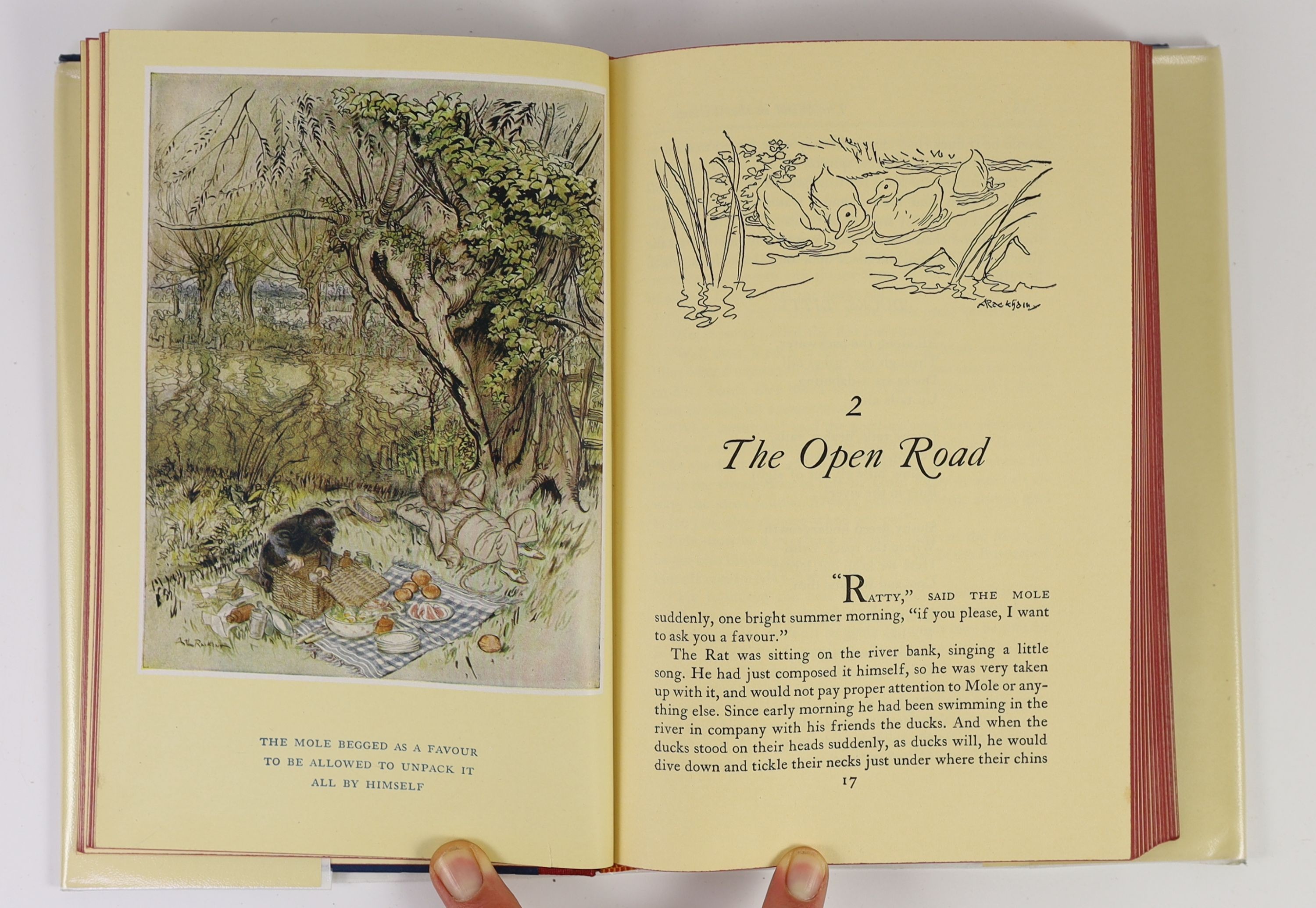 Grahame, Kenneth. The Wind in the Willows. Illustrations by Arthur Rackham....First US. Trade Edition. pictorial title and 12 coloured plates, text illus.; original buckram backed pictorial linen and d/wrapper, in pictor